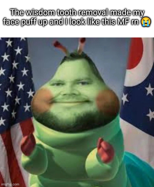 Cater pillar | The wisdom tooth removal made my face puff up and I look like this MF rn 😭 | image tagged in cater pillar | made w/ Imgflip meme maker