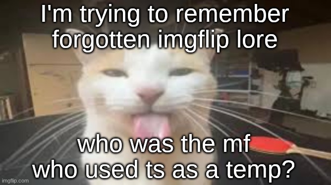 I fcuking hated this guy | I'm trying to remember forgotten imgflip lore; who was the mf who used ts as a temp? | image tagged in silly cat | made w/ Imgflip meme maker