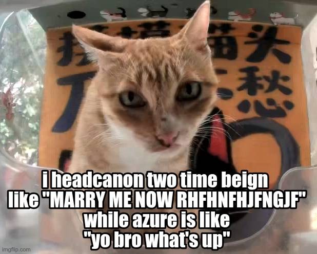 hmmmm... | image tagged in meme by me but made on kleki for the text,orange cat,stare | made w/ Imgflip meme maker
