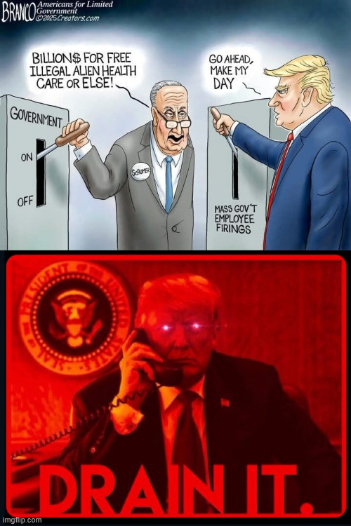 Schumer shutdown...  OK... Drain it! | image tagged in schumer shutdown,drain it | made w/ Imgflip meme maker