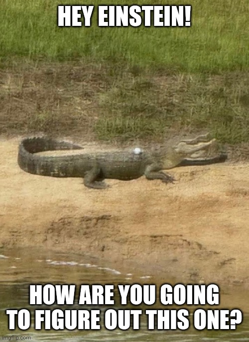HEY EINSTEIN! HOW ARE YOU GOING TO FIGURE OUT THIS ONE? | made w/ Imgflip meme maker