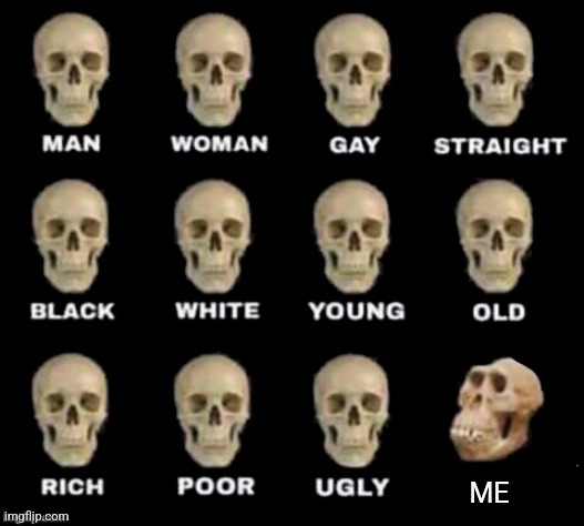 Idk sigh | ME | image tagged in idiot skull | made w/ Imgflip meme maker