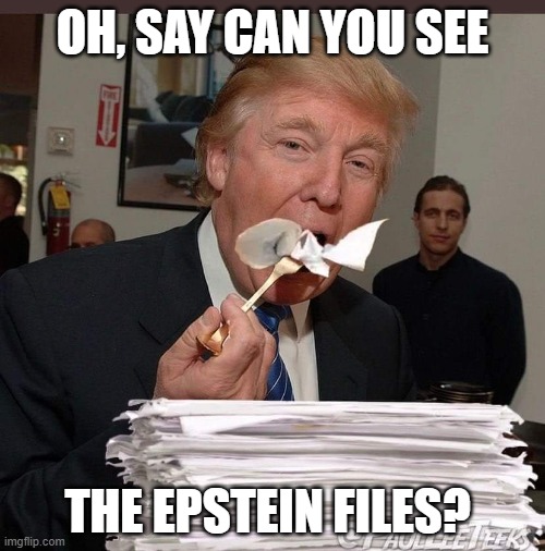 Epstein files | OH, SAY CAN YOU SEE; THE EPSTEIN FILES? | image tagged in trump eating epstein files,oh | made w/ Imgflip meme maker
