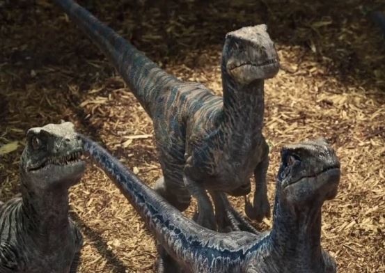 Raptor Blank Meme Template
