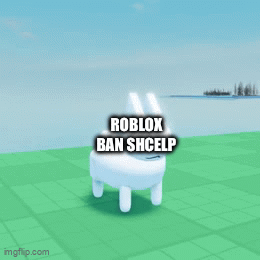 Roblox situation be like - Imgflip
