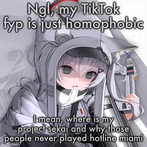N102 | Ngl, my TikTok fyp is just homophobic; I mean, where is my project sekai and why those people never played hotline Miami | image tagged in n102 | made w/ Imgflip meme maker