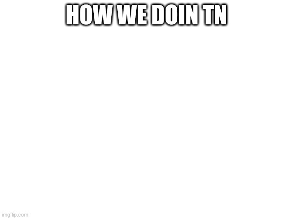 HOW WE DOIN TN | made w/ Imgflip meme maker