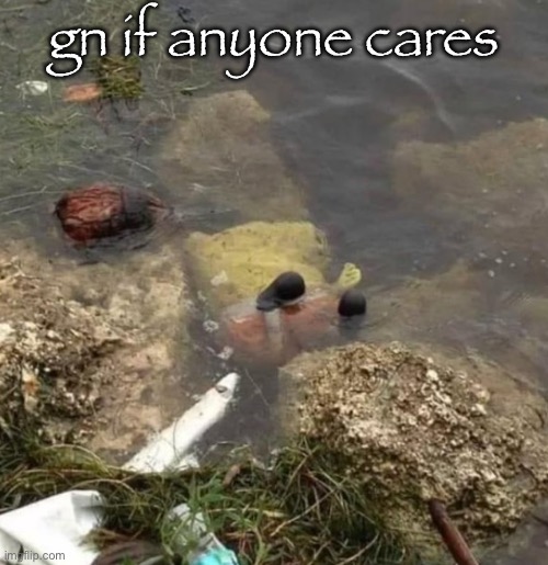 sungerbob | gn if anyone cares | image tagged in sungerbob | made w/ Imgflip meme maker