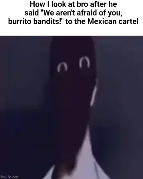 Bad choice of words | How I look at bro after he said "We aren't afraid of you, burrito bandits!" to the Mexican cartel | image tagged in memes | made w/ Imgflip meme maker