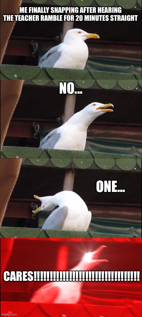 Relatable? | ME FINALLY SNAPPING AFTER HEARING THE TEACHER RAMBLE FOR 20 MINUTES STRAIGHT; NO... ONE... CARES!!!!!!!!!!!!!!!!!!!!!!!!!!!!!!!!! | image tagged in memes,inhaling seagull | made w/ Imgflip meme maker
