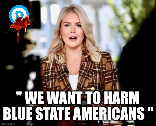 " WE WANT TO HARM BLUE STATE AMERICANS " | image tagged in memes,karoline leavitt,threats,retaliation,harm,violence | made w/ Imgflip meme maker
