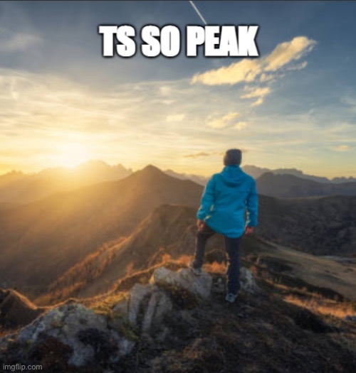 ts so peak | image tagged in ts so peak | made w/ Imgflip meme maker