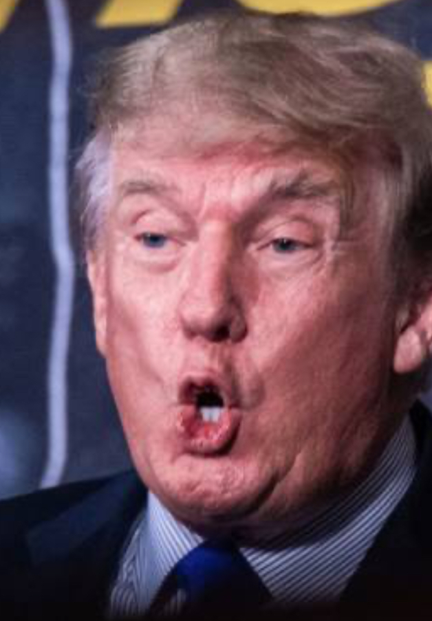 High Quality Trump Blank Meme Template