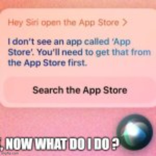 My computer couldn't find the app store so told me to go to the app store to find it. | image tagged in games,apps,computer,video games,funny,humor | made w/ Imgflip meme maker