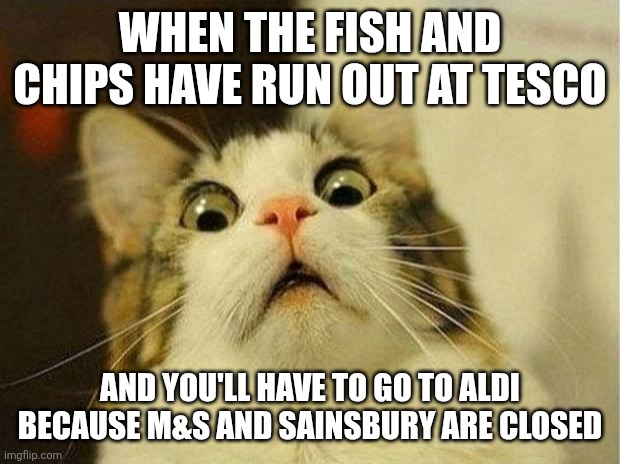 NOOOO | WHEN THE FISH AND CHIPS HAVE RUN OUT AT TESCO; AND YOU'LL HAVE TO GO TO ALDI BECAUSE M&S AND SAINSBURY ARE CLOSED | image tagged in memes,scared cat | made w/ Imgflip meme maker