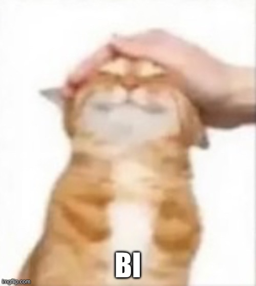 Cat being petted | BI | image tagged in cat being petted | made w/ Imgflip meme maker