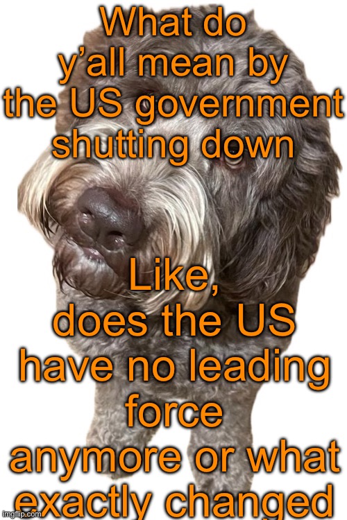 Norther being non-American again | What do y’all mean by the US government shutting down; Like, does the US have no leading force anymore or what exactly changed | image tagged in norther's dog | made w/ Imgflip meme maker