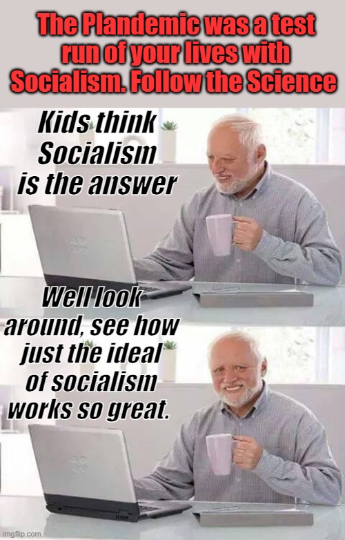 Umust take1 then 9stand in line 6ft apart.Limit of 1today.OUT of stock.Why thats failed capitalism, NOthats a taste of socialism | The Plandemic was a test run of your lives with Socialism. Follow the Science; Kids think Socialism is the answer; Well look around, see how just the ideal of socialism works so great. | image tagged in memes,hide the pain harold | made w/ Imgflip meme maker