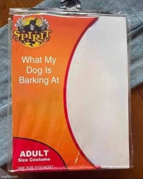 image tagged in halloween costume,dogs,barking,nothing,there | made w/ Imgflip meme maker