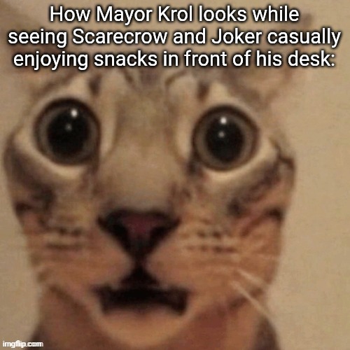 Flabbergasted (by fear) | How Mayor Krol looks while seeing Scarecrow and Joker casually enjoying snacks in front of his desk: | image tagged in in shock | made w/ Imgflip meme maker