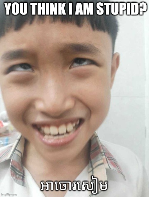 Wut | YOU THINK I AM STUPID? អាចោរសៀម | image tagged in memes,dumb | made w/ Imgflip meme maker