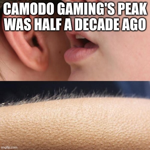 Sad fact | CAMODO GAMING'S PEAK WAS HALF A DECADE AGO | image tagged in whisper and goosebumps | made w/ Imgflip meme maker