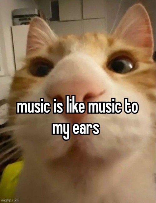 yall would state the obvious if im to post all 20 that i just got | made w/ Imgflip meme maker