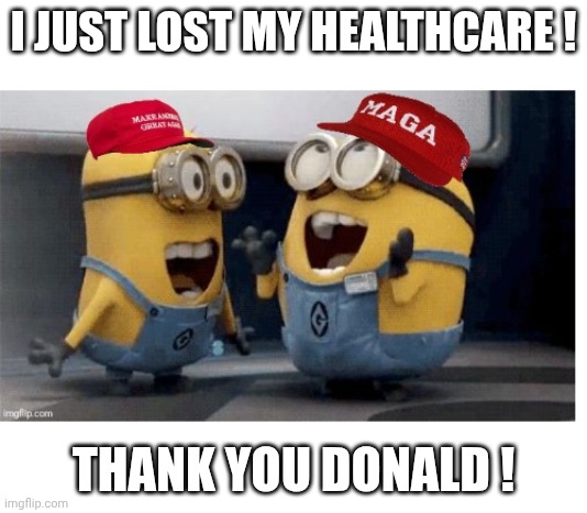 FAFO | I JUST LOST MY HEALTHCARE ! THANK YOU DONALD ! | image tagged in maga failure,maga fafo | made w/ Imgflip meme maker
