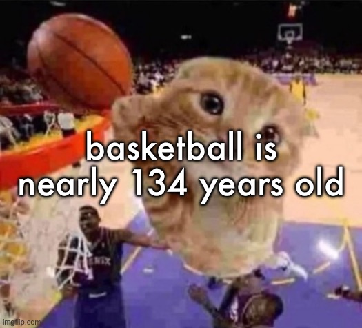 ballin cat | basketball is nearly 134 years old | image tagged in ballin cat | made w/ Imgflip meme maker