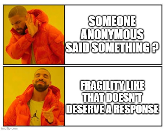 No - Yes | SOMEONE ANONYMOUS SAID SOMETHING ? FRAGILITY LIKE THAT DOESN'T DESERVE A RESPONSE | image tagged in no - yes | made w/ Imgflip meme maker