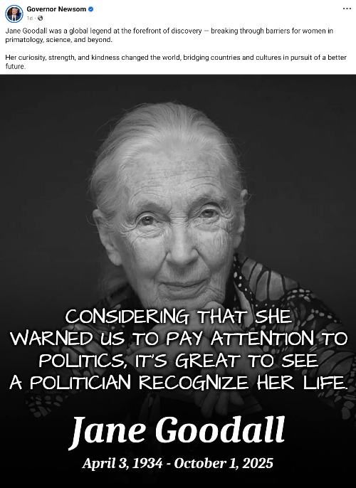 She deserves a memorial greater than Kirk's | CONSIDERING THAT SHE WARNED US TO PAY ATTENTION TO POLITICS, IT'S GREAT TO SEE A POLITICIAN RECOGNIZE HER LIFE. | image tagged in jane goodall | made w/ Imgflip meme maker
