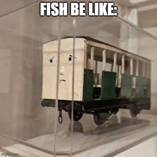 Fish | FISH BE LIKE: | image tagged in coach in a box | made w/ Imgflip meme maker