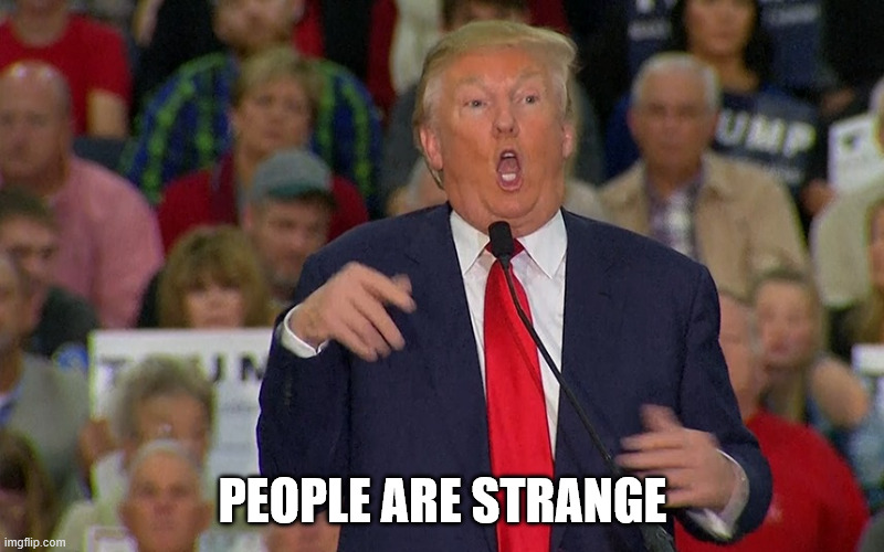 Idiot Trump | PEOPLE ARE STRANGE | image tagged in idiot trump | made w/ Imgflip meme maker