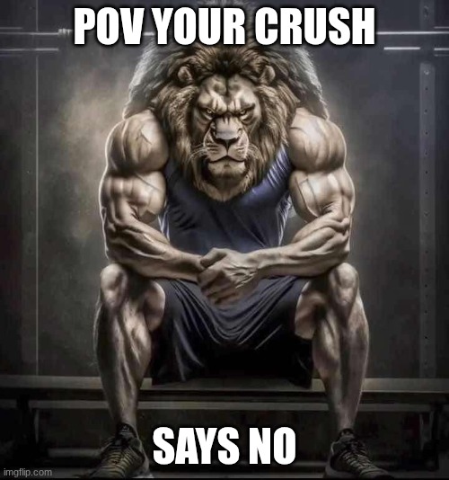 How bro felt after saying that | POV YOUR CRUSH; SAYS NO | image tagged in how bro felt after saying that | made w/ Imgflip meme maker