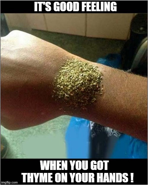 Not A Care In The World ! | IT'S GOOD FEELING; WHEN YOU GOT 
  THYME ON YOUR HANDS ! | image tagged in carefree,feelings,thyme,play on words | made w/ Imgflip meme maker