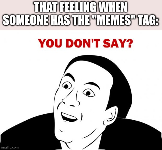 I never knew that that meme was a meme am I right guys? | THAT FEELING WHEN SOMEONE HAS THE "MEMES" TAG: | image tagged in memes,you don't say,crazy | made w/ Imgflip meme maker