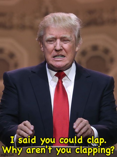 Donald Trump | I said you could clap.
Why aren't you clapping? | image tagged in donald trump | made w/ Imgflip meme maker