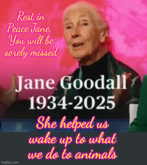 My Heart Is Sad.  This Is The Kind Of Person That DESERVES To Be HONORED! | Rest in Peace Jane.  You will be sorely missed; She helped us wake up to what we do to animals | image tagged in memes,highest honor,jane goodall,rest in peace,chimpanzee,knowledge is power | made w/ Imgflip meme maker