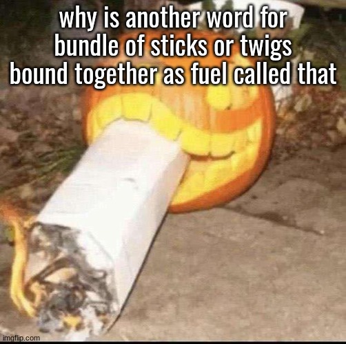 Awesome badass evil scary fucking pumpkin | why is another word for bundle of sticks or twigs bound together as fuel called that | image tagged in awesome badass evil scary fucking pumpkin | made w/ Imgflip meme maker