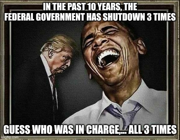 It wasn't Obama | IN THE PAST 10 YEARS, THE FEDERAL GOVERNMENT HAS SHUTDOWN 3 TIMES; GUESS WHO WAS IN CHARGE,... ALL 3 TIMES | image tagged in trump,gop,maga,nazi,fascist,shutdown | made w/ Imgflip meme maker