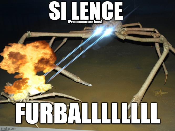 I'm a furry, but.... | SI LENCE; (Pronounce see luns); FURBALLLLLLLL | image tagged in laser crab,furry,anti furry | made w/ Imgflip meme maker