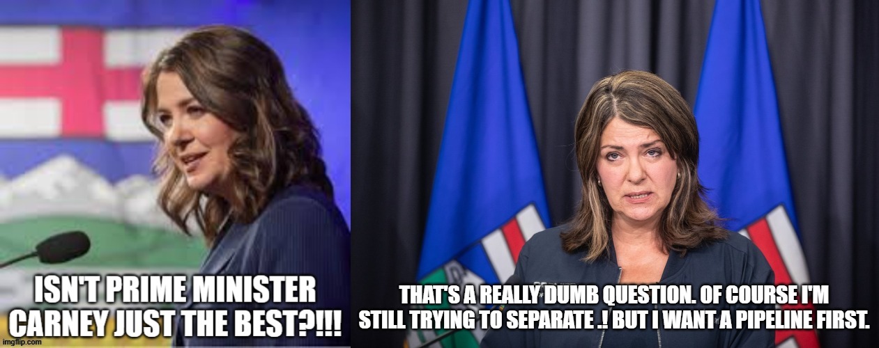 canadian politics | image tagged in political meme | made w/ Imgflip meme maker