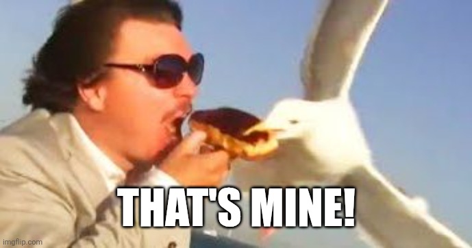 swiping seagull | THAT'S MINE! | image tagged in swiping seagull | made w/ Imgflip meme maker