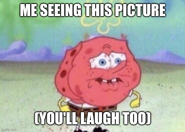 Spongebob Holding Breath | ME SEEING THIS PICTURE; (YOU'LL LAUGH TOO) | image tagged in spongebob holding breath | made w/ Imgflip meme maker