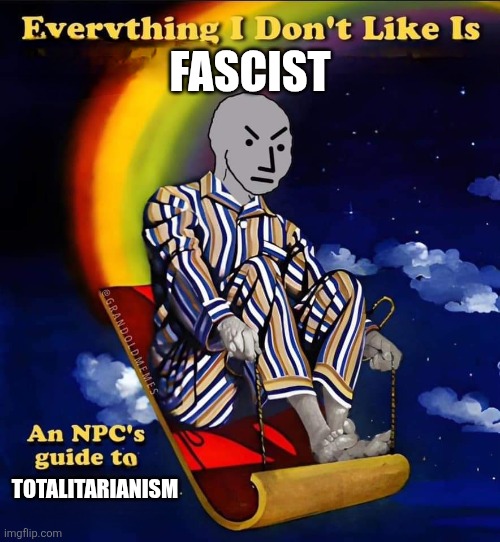 Everything I don't like is | FASCIST TOTALITARIANISM | image tagged in everything i don't like is | made w/ Imgflip meme maker