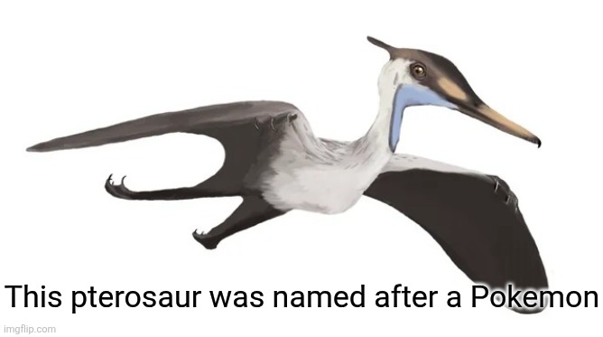 A pokemon named pterosaur.mp3 | This pterosaur was named after a Pokemon | made w/ Imgflip meme maker