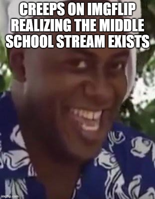 80% of the people here, including me aren't even in Middle School lmao | CREEPS ON IMGFLIP REALIZING THE MIDDLE SCHOOL STREAM EXISTS | image tagged in yeah boi chef | made w/ Imgflip meme maker