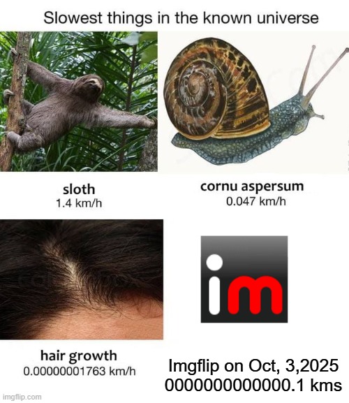 Slowest things | Imgflip on Oct, 3,2025
0000000000000.1 kms | image tagged in slowest things | made w/ Imgflip meme maker