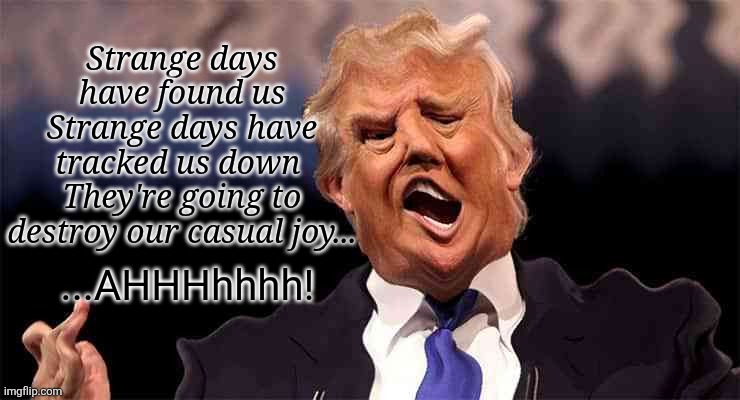 Trump on acid, making the whole world crazy | Strange days have found us
Strange days have tracked us down 
They're going to destroy our casual joy... ...AHHHhhhh! | image tagged in trump on acid making the whole world crazy | made w/ Imgflip meme maker