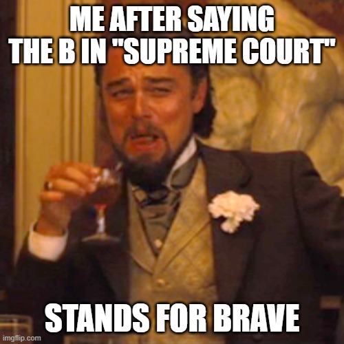 Trump's pet | ME AFTER SAYING THE B IN "SUPREME COURT"; STANDS FOR BRAVE | image tagged in memes,laughing leo | made w/ Imgflip meme maker